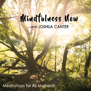 Breathing in Breathing Out