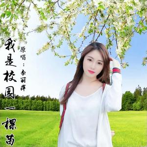 我是校园一棵苗