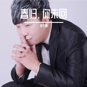 春归、你未回