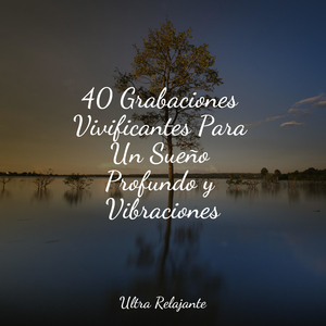 Barrido De La Luz Del Sol