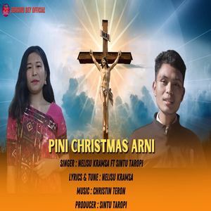 Pini Christmas Arni