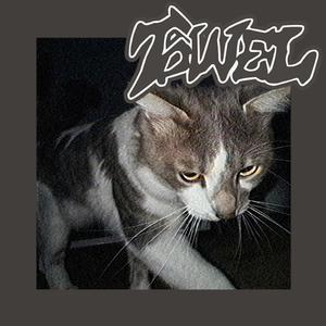 Big Train (feat. Entertorment)