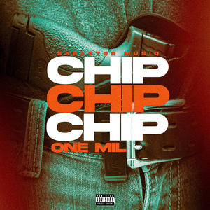 Chip