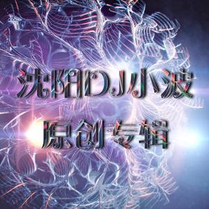 沈阳Dj小卓-沈阳Dj小卓-舞曲制作人沈阳Dj小波2018原创专辑（Dj Small.z小卓 / 沈阳DJ小波 remix）