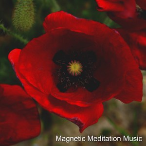 Morning Love Meditation