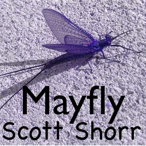 Mayfly