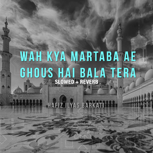 Wah Kya Martaba Ae Ghous Hai Bala Tera (Lofi-Mix)