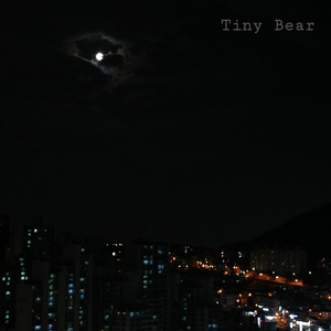Tiny Bear