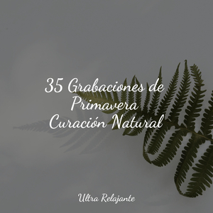 Caminando en La Orilla