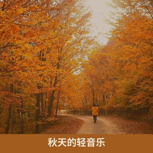 与自然的连接