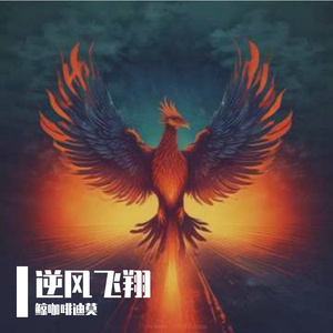 逆风飞翔