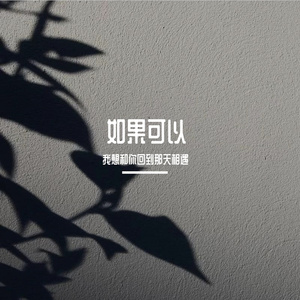 如果可以 （我想和你回到那天相遇）