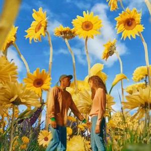 [Beat Switch]Tyler,The Creater Type Beat~SUNFLOWER