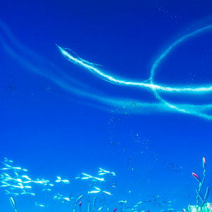 已经沉眠的世界