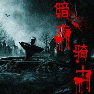 Dark Knight（暗夜骑士）