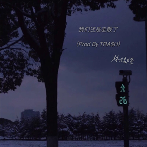 我们还是走散了（Prod by TRA$H）