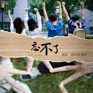 忘不了 (伴奏)