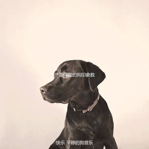 安静的可爱的狗声音