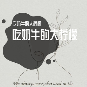 安全范围（Cover 扬科YANGK)