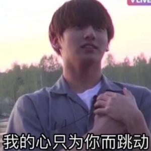 专属男欧巴送子汉玫瑰花