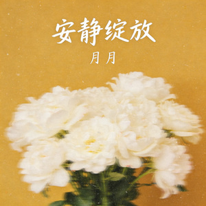 安静绽放