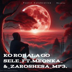 Ko robala go sele (feat. Zaroshesa)