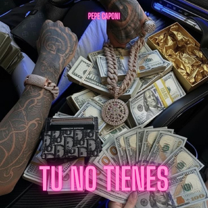 tu no tienes