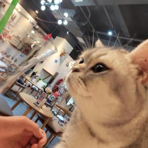 还在想你