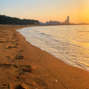 君の花言葉 (feat. 花隈千冬)