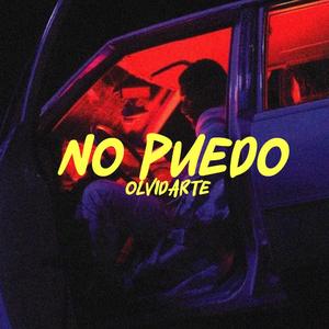 No Puedo Olvidarte