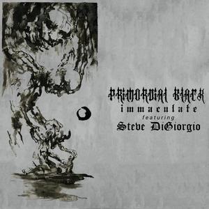 Immaculate (feat. Steve Digiorgio)
