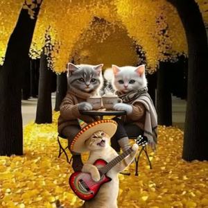 코미디는 마법! (Comedy is Magic!) by 양샘