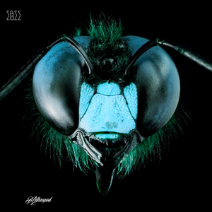 Arthropod (Etienne Cruze Remix)