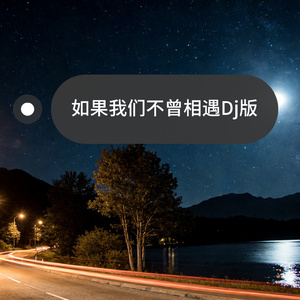 如果我们不曾相遇DJ版