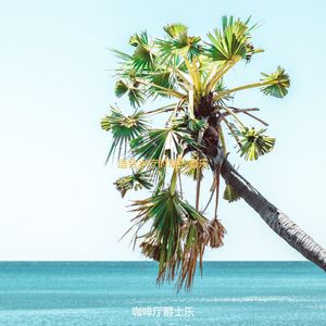 适合水疗时髦的音乐