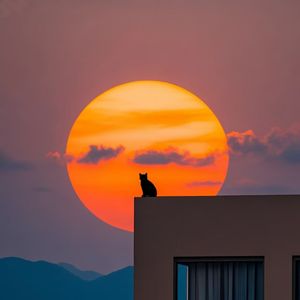 《未寄的晚安》