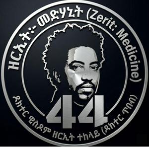 መሃንድስ ሰላም (The Architect of Peace)