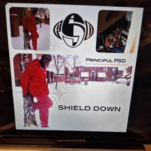Shield Down (feat. Trenton Duffy, Debby Bracknell & it's a Lando H2o Jam)
