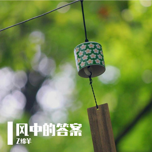 风中的答案