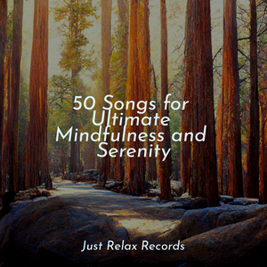 Ocean's Endless Voyage