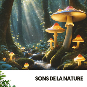 Rayons de soleil sur le sol moussu de la forêt