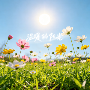 温暖的阳光-向晴