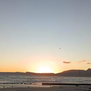 Carry Them With you (Children of Palistine)