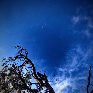 This Sweet Persuasion