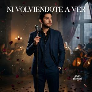 Ni Volviendote a Ver