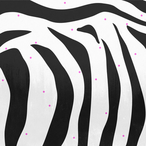 PINK-DOTTED ZEBRA