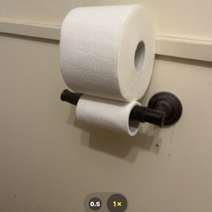 Toilet Paper Flow