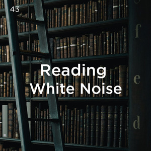 화이트 노이즈 수면