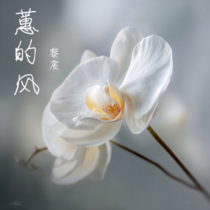 蕙的风 (舞曲版)