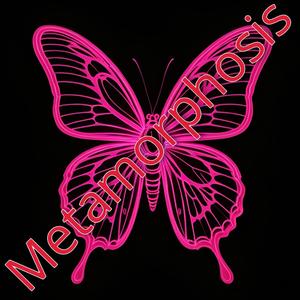Metamorphosis
